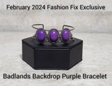 Paparazzi Fashion Fix Exclusives February 2024