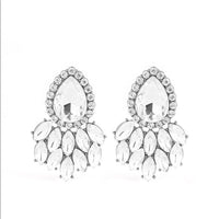 Paparazzi A Breath of Fresh HEIR Earrings Silver - Glitz By Lisa 